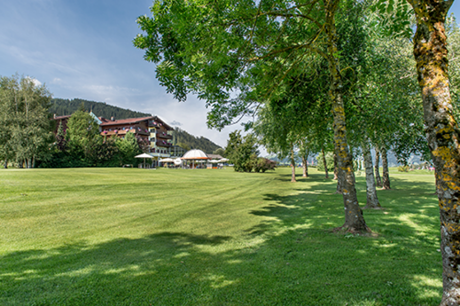 Neue Bilder Sommer Lohmann 2014 2