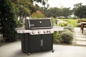 1 2 Genesis E 435 Gasgrill EUR 214900 c weber.com